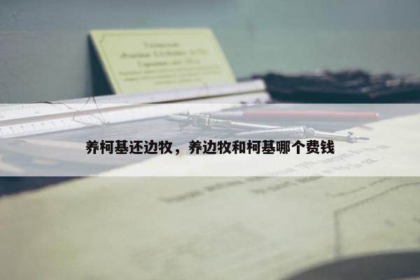 养柯基还边牧，养边牧和柯基哪个费钱