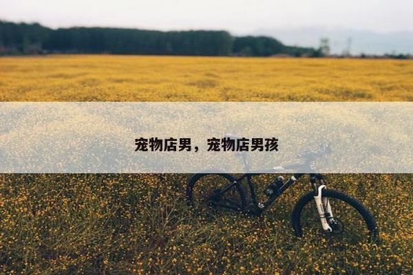 宠物店男，宠物店男孩