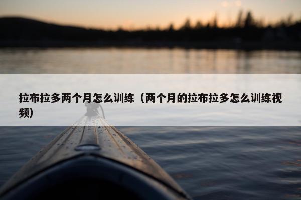 拉布拉多两个月怎么训练（两个月的拉布拉多怎么训练视频）