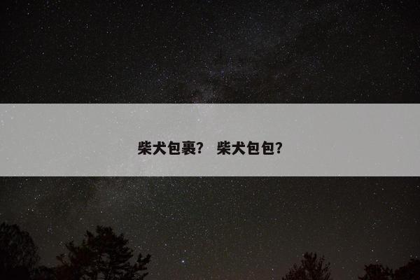 柴犬包裹？ 柴犬包包？