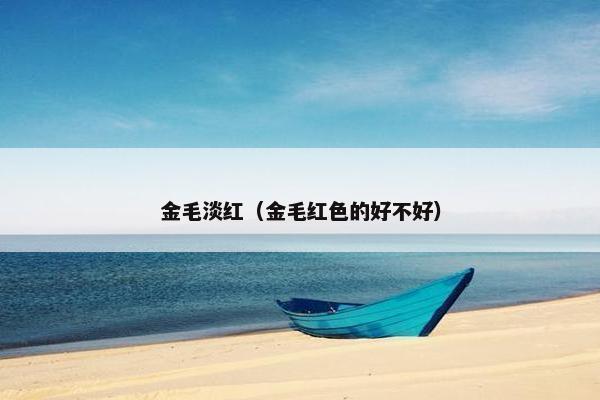 金毛淡红（金毛红色的好不好）
