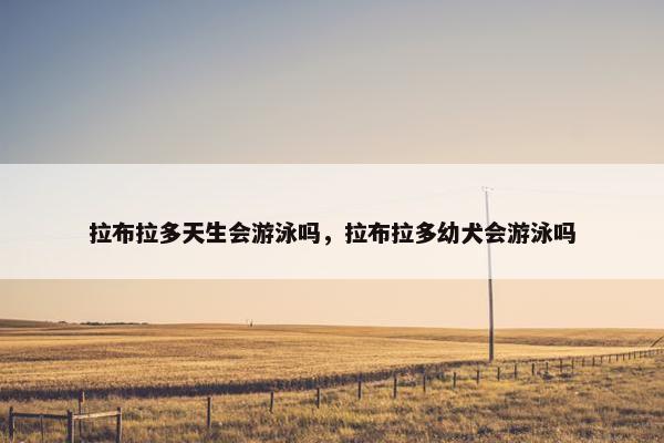 拉布拉多天生会游泳吗，拉布拉多幼犬会游泳吗