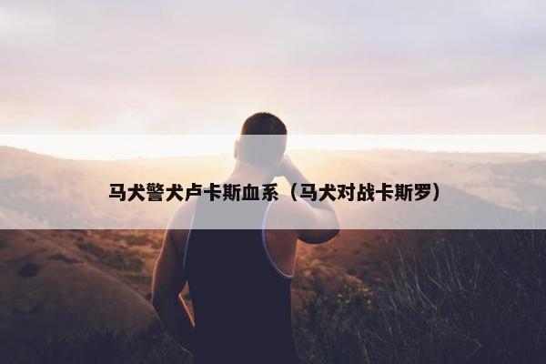 马犬警犬卢卡斯血系（马犬对战卡斯罗）