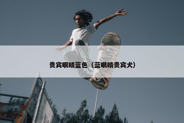 贵宾眼睛蓝色（蓝眼睛贵宾犬）