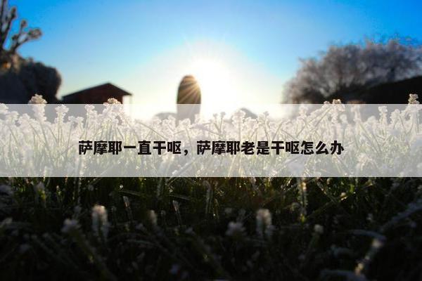 萨摩耶一直干呕，萨摩耶老是干呕怎么办
