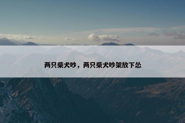 两只柴犬吵，两只柴犬吵架放下怂