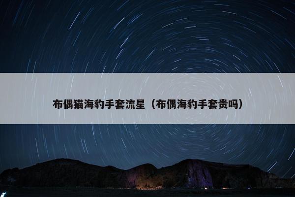布偶猫海豹手套流星（布偶海豹手套贵吗）