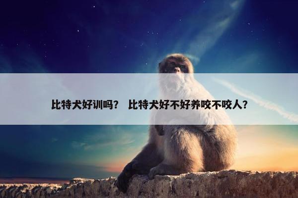 比特犬好训吗？ 比特犬好不好养咬不咬人？