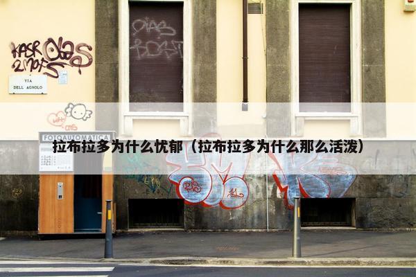 拉布拉多为什么忧郁（拉布拉多为什么那么活泼）