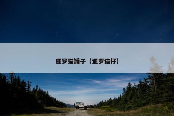 暹罗猫罐子（暹罗猫仔）