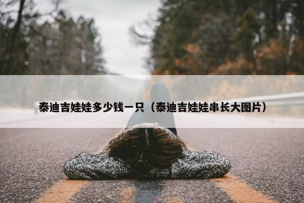 泰迪吉娃娃多少钱一只（泰迪吉娃娃串长大图片）