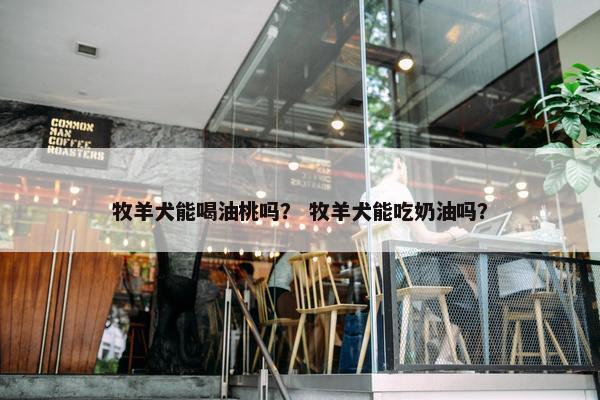 牧羊犬能喝油桃吗？ 牧羊犬能吃奶油吗？