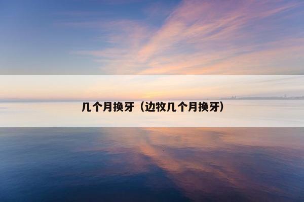 几个月换牙（边牧几个月换牙）