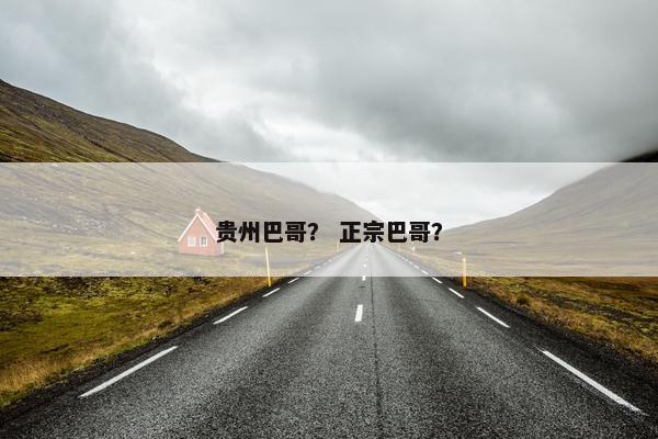 贵州巴哥？ 正宗巴哥？