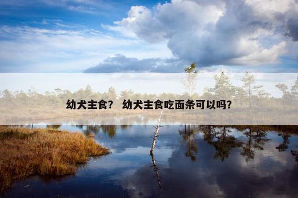 幼犬主食？ 幼犬主食吃面条可以吗？