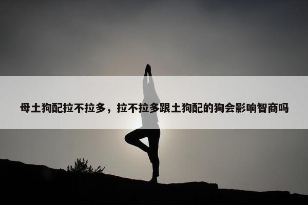 母土狗配拉不拉多，拉不拉多跟土狗配的狗会影响智商吗