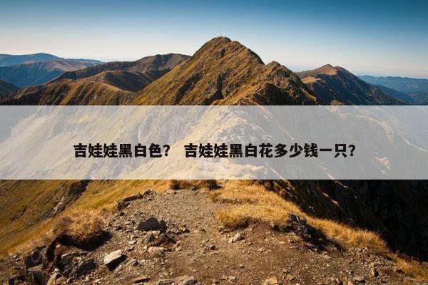 吉娃娃黑白色？ 吉娃娃黑白花多少钱一只？