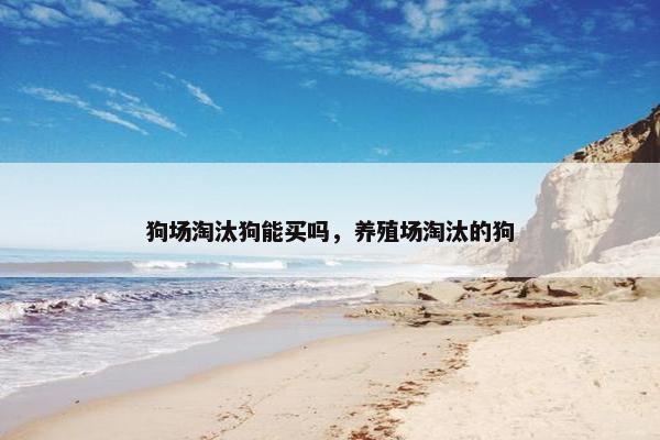 狗场淘汰狗能买吗，养殖场淘汰的狗