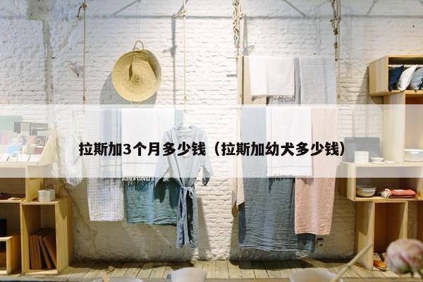 拉斯加3个月多少钱（拉斯加幼犬多少钱）