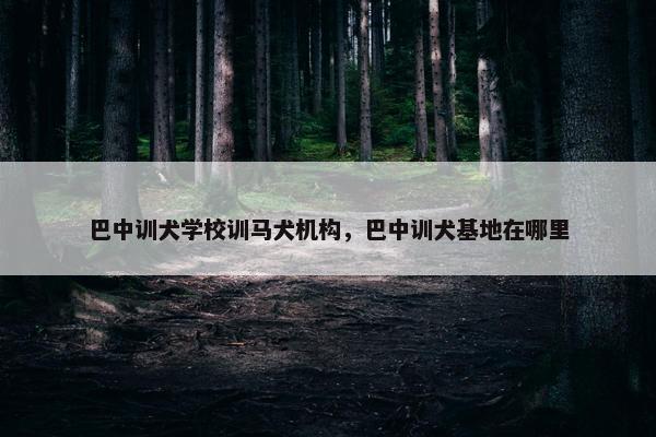 巴中训犬学校训马犬机构，巴中训犬基地在哪里