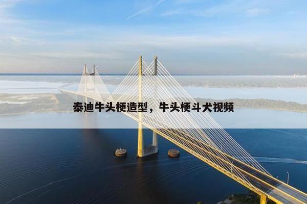 泰迪牛头梗造型，牛头梗斗犬视频