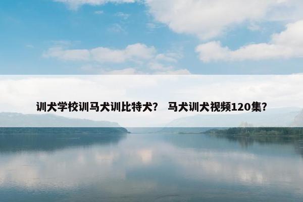 训犬学校训马犬训比特犬？ 马犬训犬视频120集？
