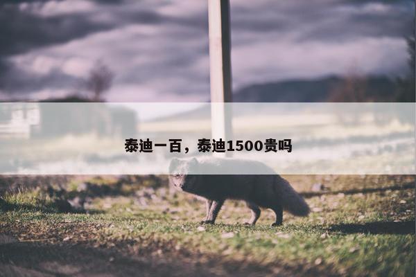 泰迪一百，泰迪1500贵吗
