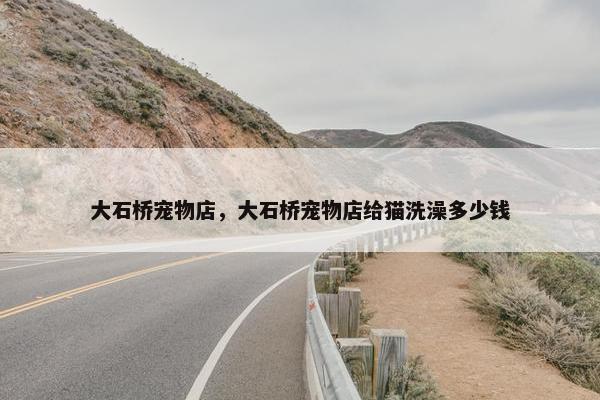 大石桥宠物店，大石桥宠物店给猫洗澡多少钱