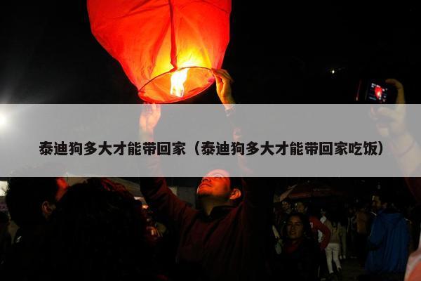 泰迪狗多大才能带回家（泰迪狗多大才能带回家吃饭）