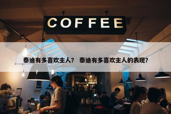 泰迪有多喜欢主人？ 泰迪有多喜欢主人的表现？