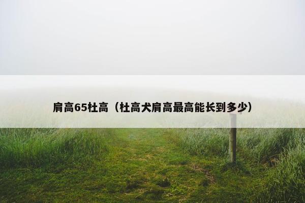 肩高65杜高（杜高犬肩高最高能长到多少）
