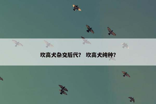 坎高犬杂交后代？ 坎高犬纯种？