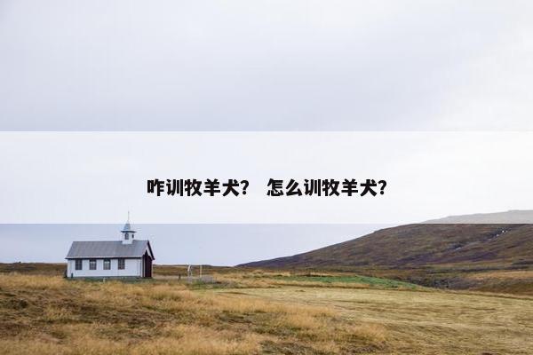 咋训牧羊犬？ 怎么训牧羊犬？