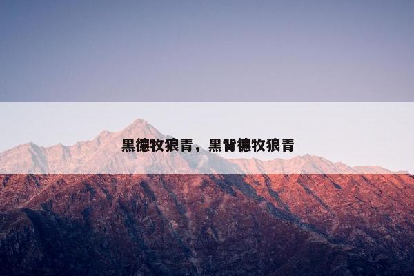 黑德牧狼青，黑背德牧狼青