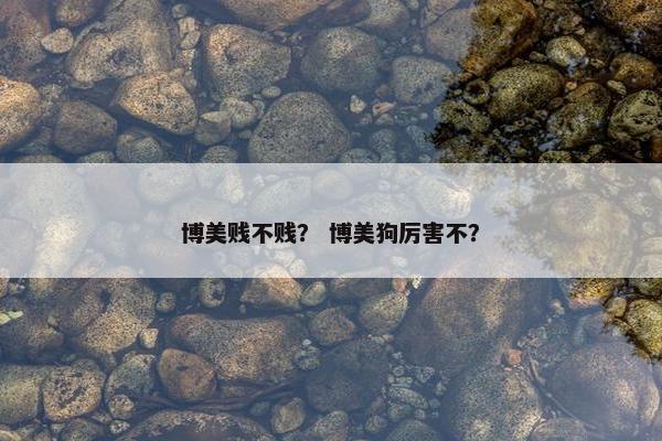 博美贱不贱？ 博美狗厉害不？