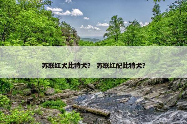 苏联红犬比特犬？ 苏联红配比特犬？