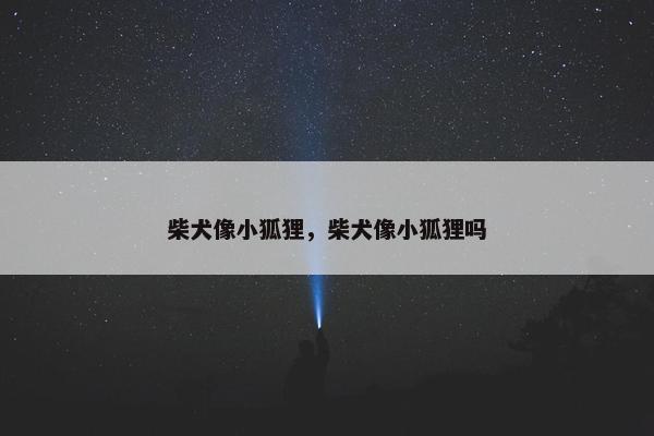 柴犬像小狐狸，柴犬像小狐狸吗