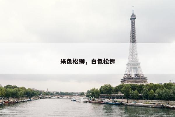 米色松狮，白色松狮