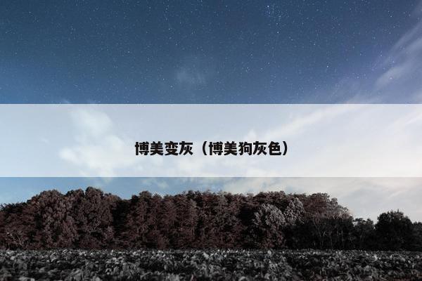 博美变灰（博美狗灰色）