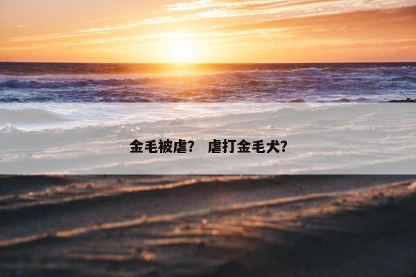 金毛被虐？ 虐打金毛犬？
