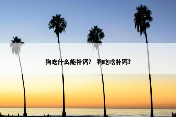 狗吃什么能补钙？ 狗吃啥补钙？