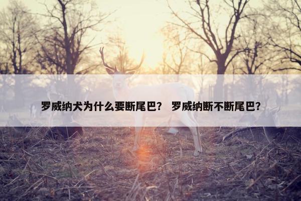 罗威纳犬为什么要断尾巴？ 罗威纳断不断尾巴？