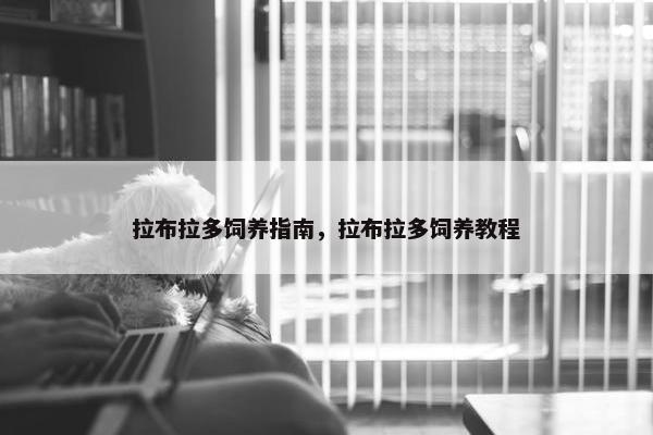 拉布拉多饲养指南，拉布拉多饲养教程