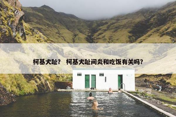 柯基犬趾？ 柯基犬趾间炎和吃饭有关吗？