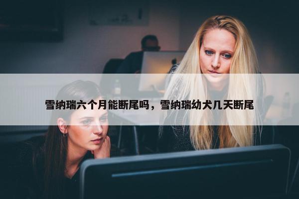 雪纳瑞六个月能断尾吗，雪纳瑞幼犬几天断尾