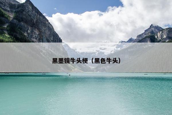 黑墨镜牛头梗（黑色牛头）