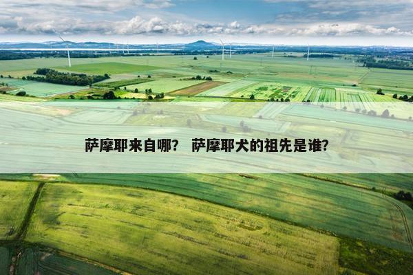 萨摩耶来自哪？ 萨摩耶犬的祖先是谁？