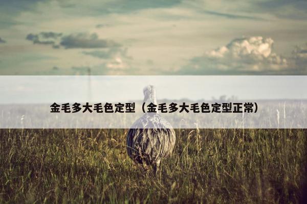 金毛多大毛色定型（金毛多大毛色定型正常）