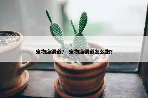宠物店渠道？ 宠物店渠道怎么跑？