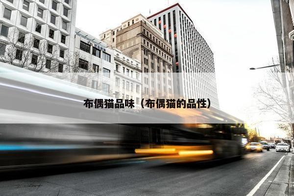 布偶猫品味（布偶猫的品性）